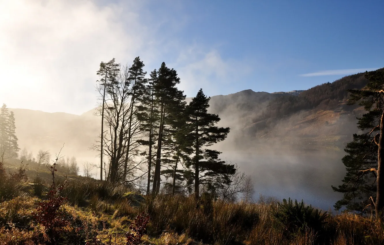 Фото обои пейзаж, озеро, утро
