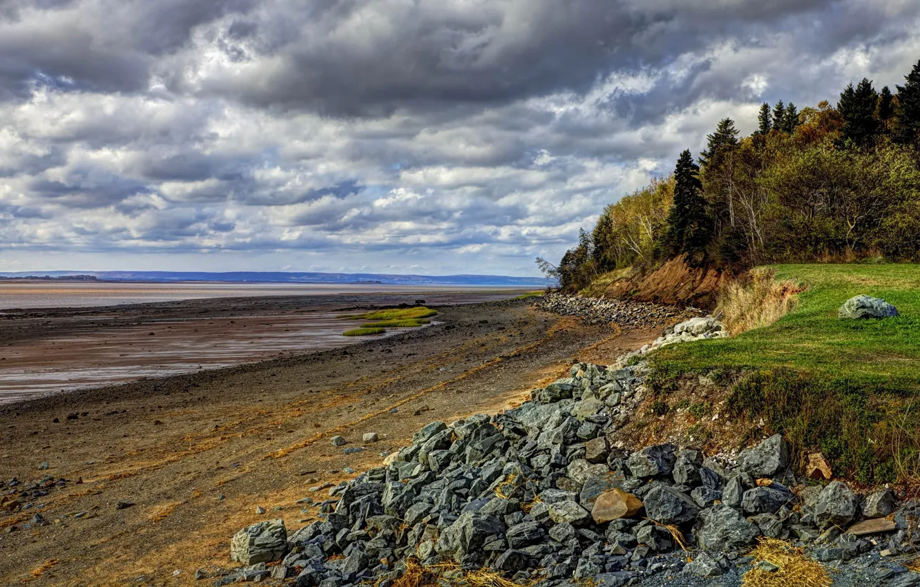 Фото обои облака, деревья, природа, камни, берег, отлив