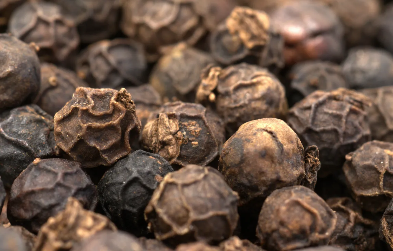 Фото обои food, spice, black paper