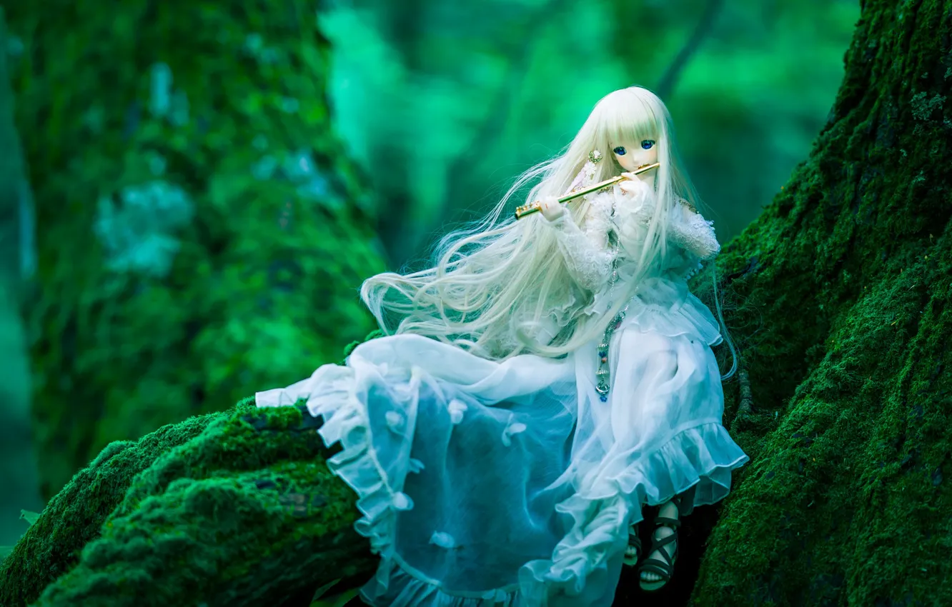 Фото обои дерево, мох, кукла, платье, флейта