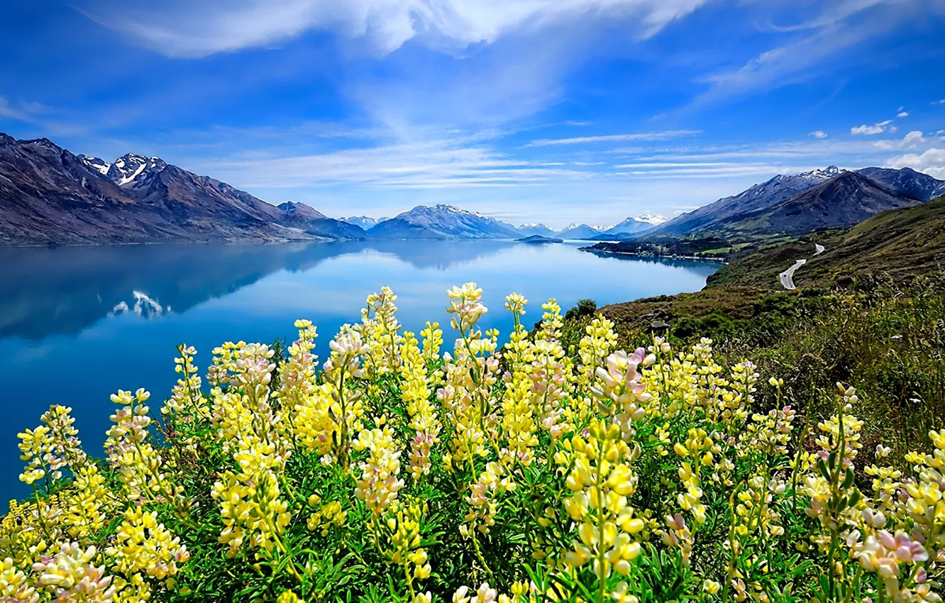 Фото обои небо, облака, цветы, горы, озеро