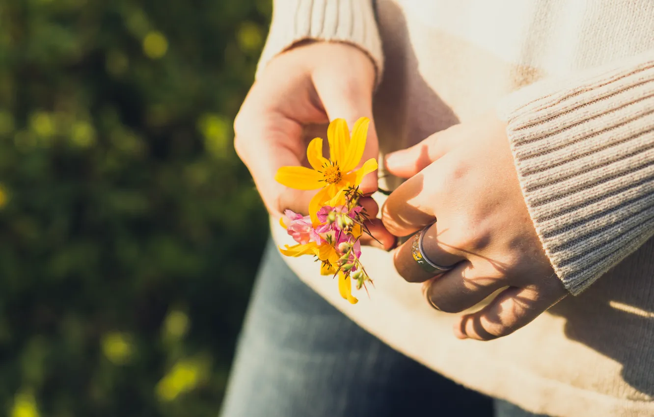 Фото обои цветы, руки, буктик