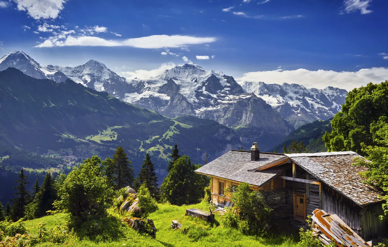 Фото обои трава, деревья, горы, камни, скалы, Швейцария, ледник, панорама