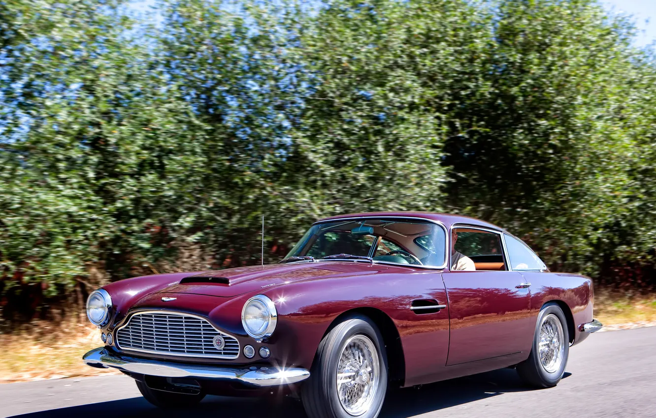 Фото обои дорога, деревья, Aston Martin, автомобиль, классика, раритет, 1958, DB4