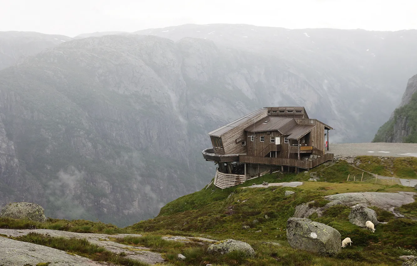 Фото обои горы, овцы, строение, NORWAY, валун