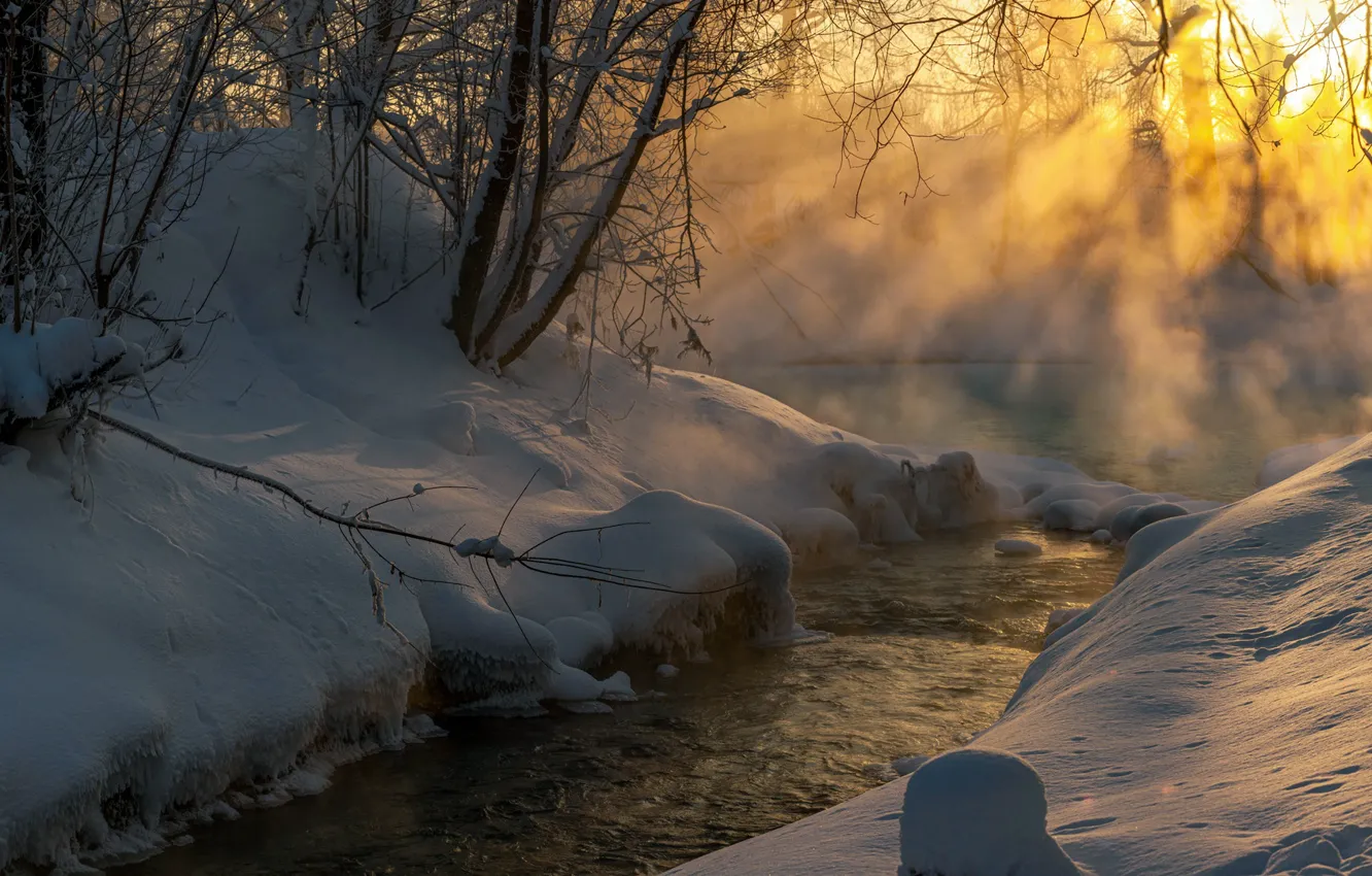 Фото обои зима, лучи, свет, снег, деревья, пейзаж, природа, ручей