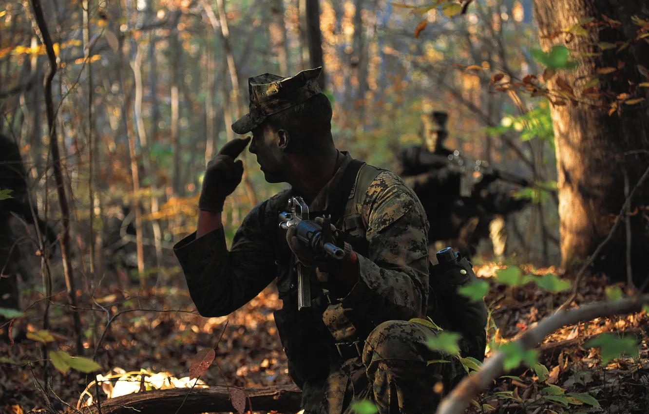 Фото обои лес, оружие, знак, солдат, морская, пехота