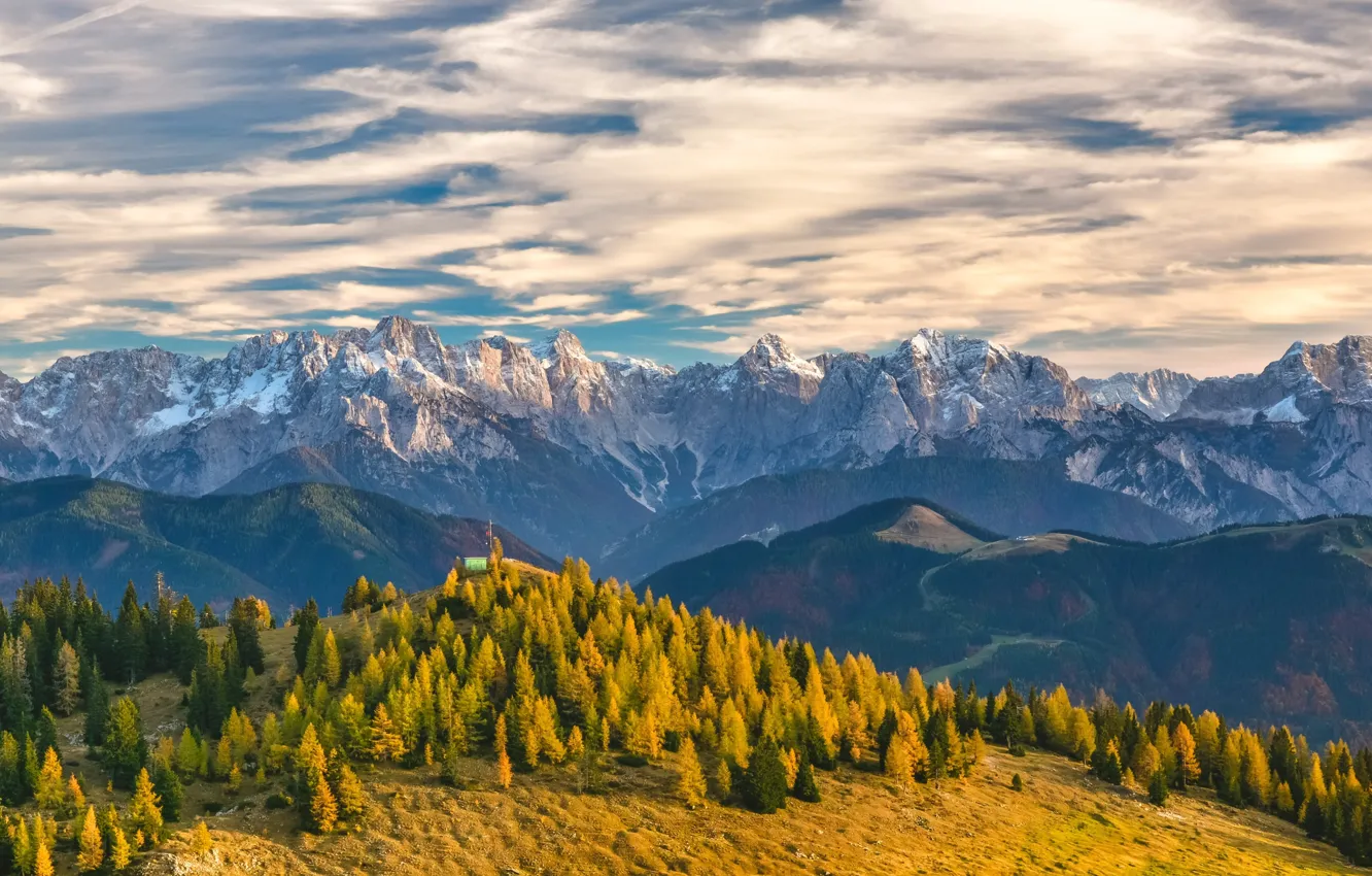 Фото обои лес, небо, облака, деревья, горы, Швейцария, Альпы, Switzerland