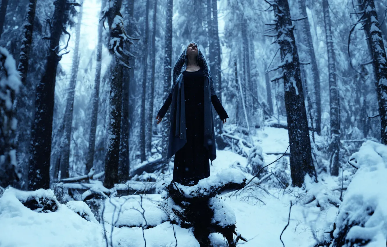 Фото обои лес, девушка, снег, Kindra Nikole