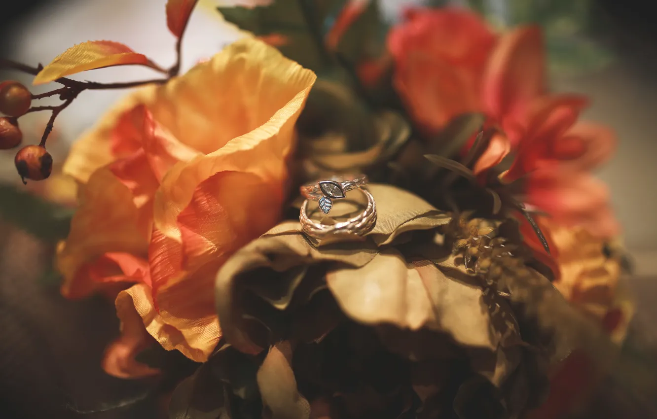 Фото обои цветы, кольца, украшение