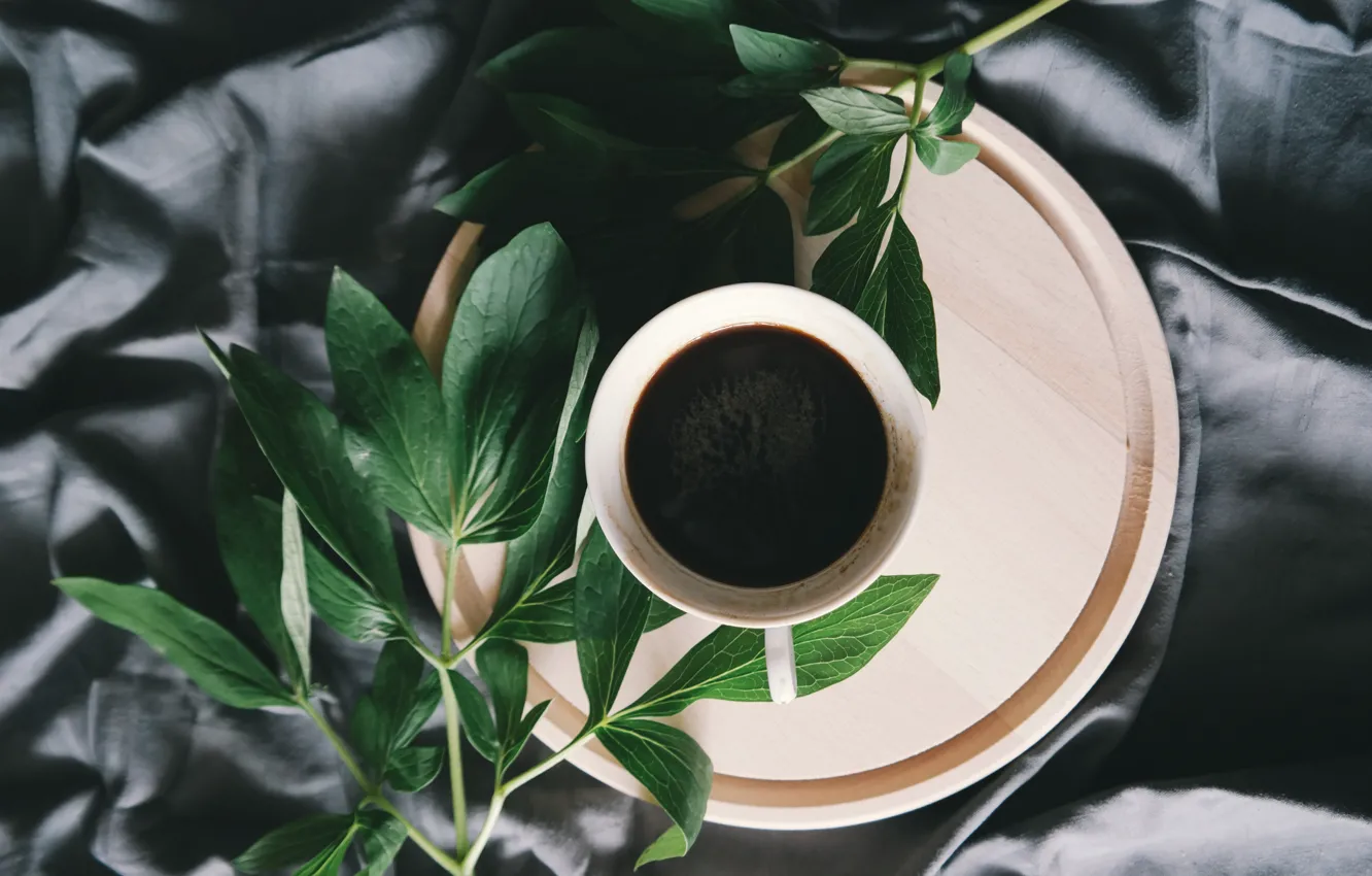 Фото обои листья, кофе, лепестки, чашка