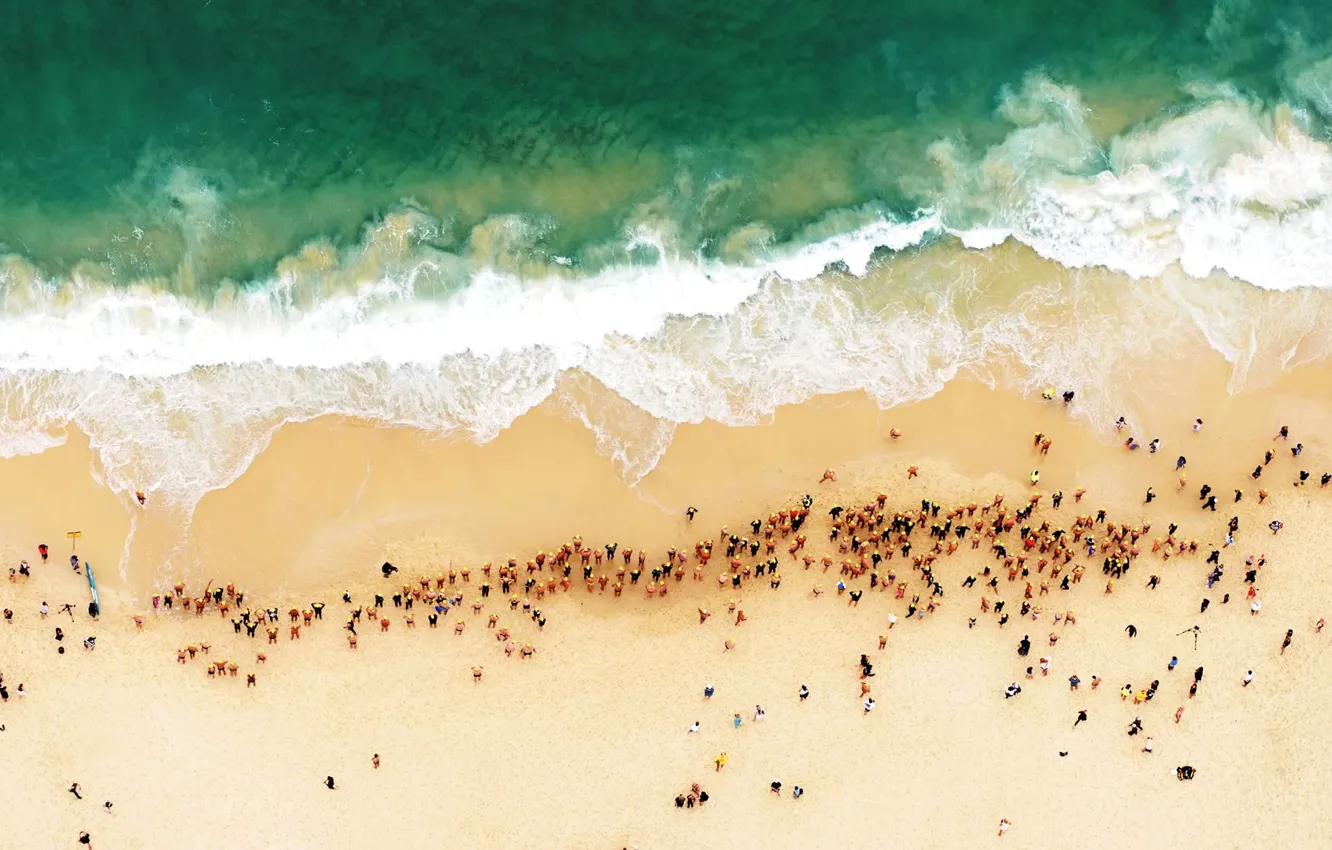 Фото обои море, пляж, берег, Австралия, Сидней, пловцы, Bondi Beach