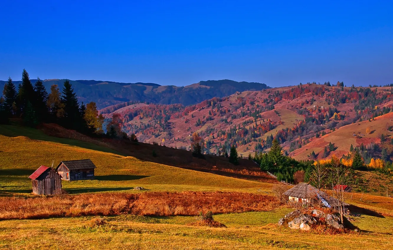 Фото обои осень, небо, деревья, горы, дом, склон, Украина, хата