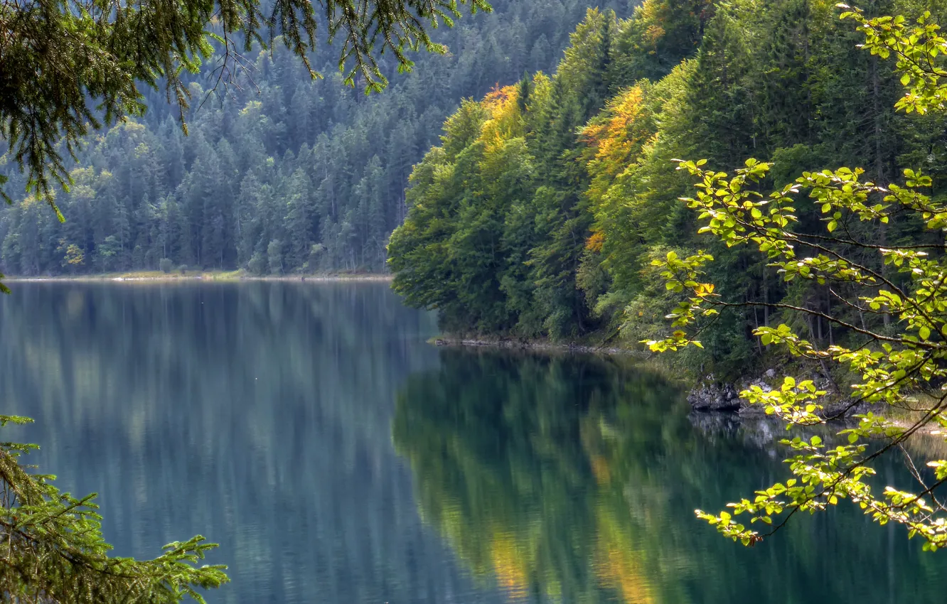 Фото обои осень, лес, отражение, Германия, Бавария, Germany, водная гладь, Bavaria