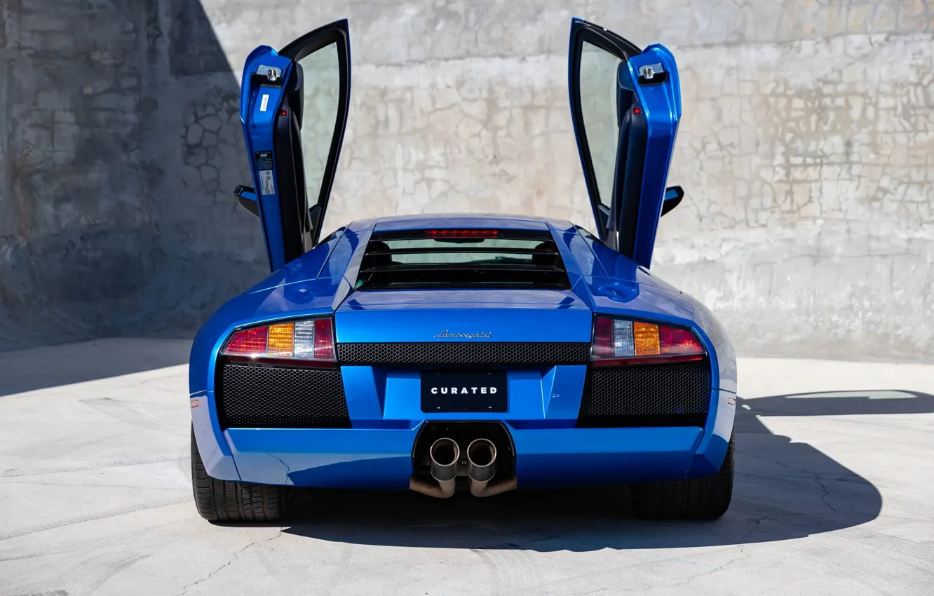 Фото обои Lamborghini, вид сзади, Lamborghini Murcielago, Murcielago, ламборгини