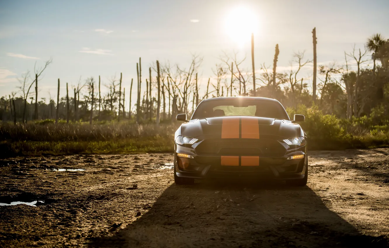 Фото обои солнце, Mustang, Ford, Shelby, вид спереди, GT-S, 2019
