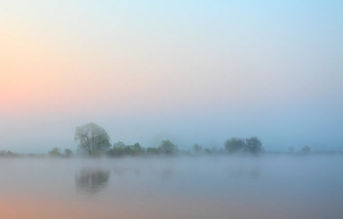Фото обои небо, вода, деревья, туман, река, утро