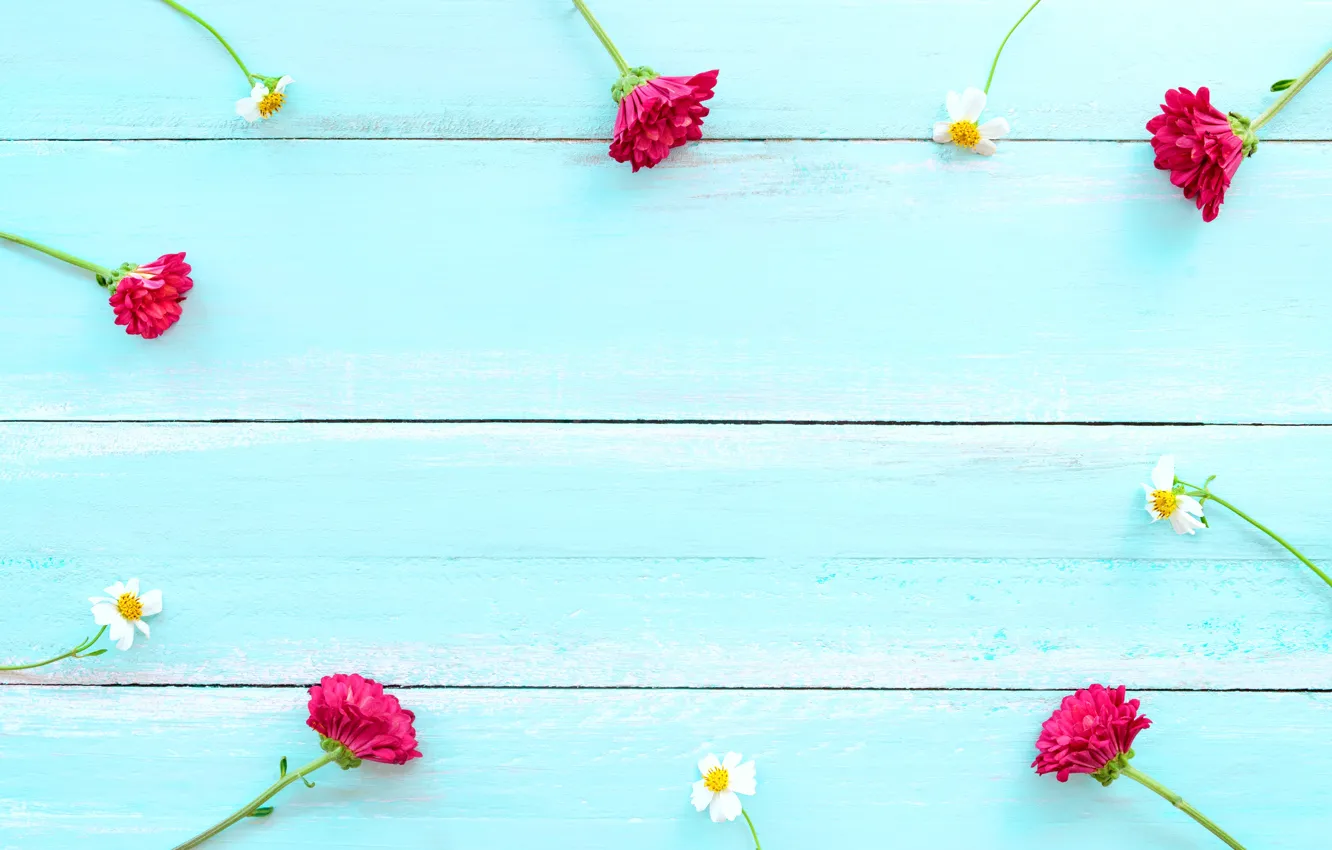 Фото обои цветы, розовые, wood, pink, flowers, spring