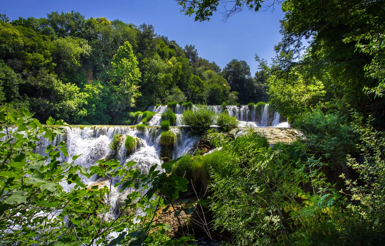 Фото обои лес, деревья, водопады, каскад, Хорватия, Croatia, Krka National Park, Национальный парк Крка