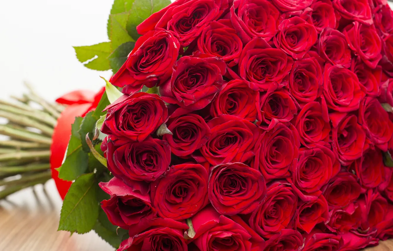 Фото обои цветы, розы, букет, красные бутоны