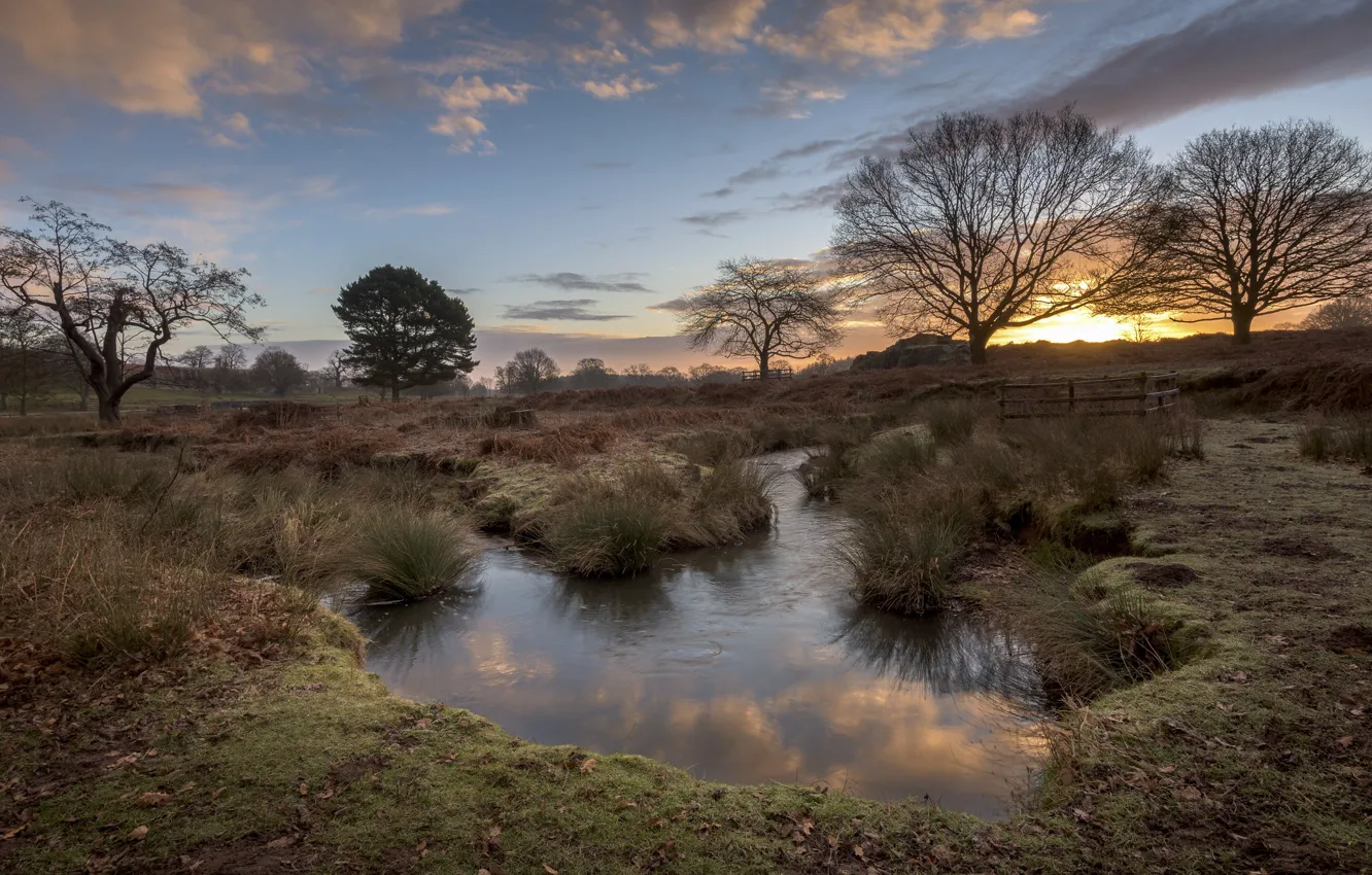 Фото обои поле, закат, природа