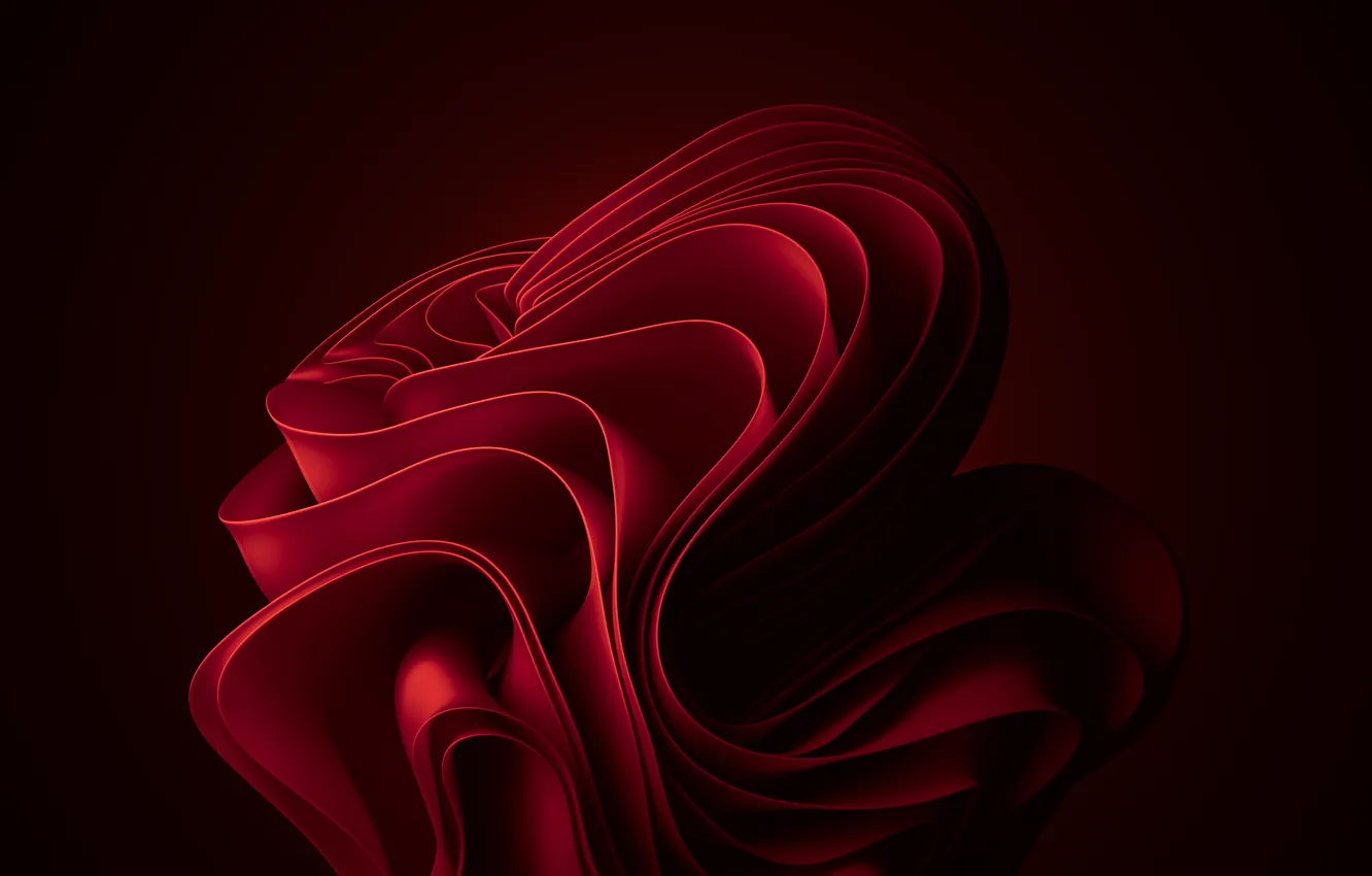 Фото обои красный, абстракция, abstract, red, темно красный, dark red, bloom, Windows 11