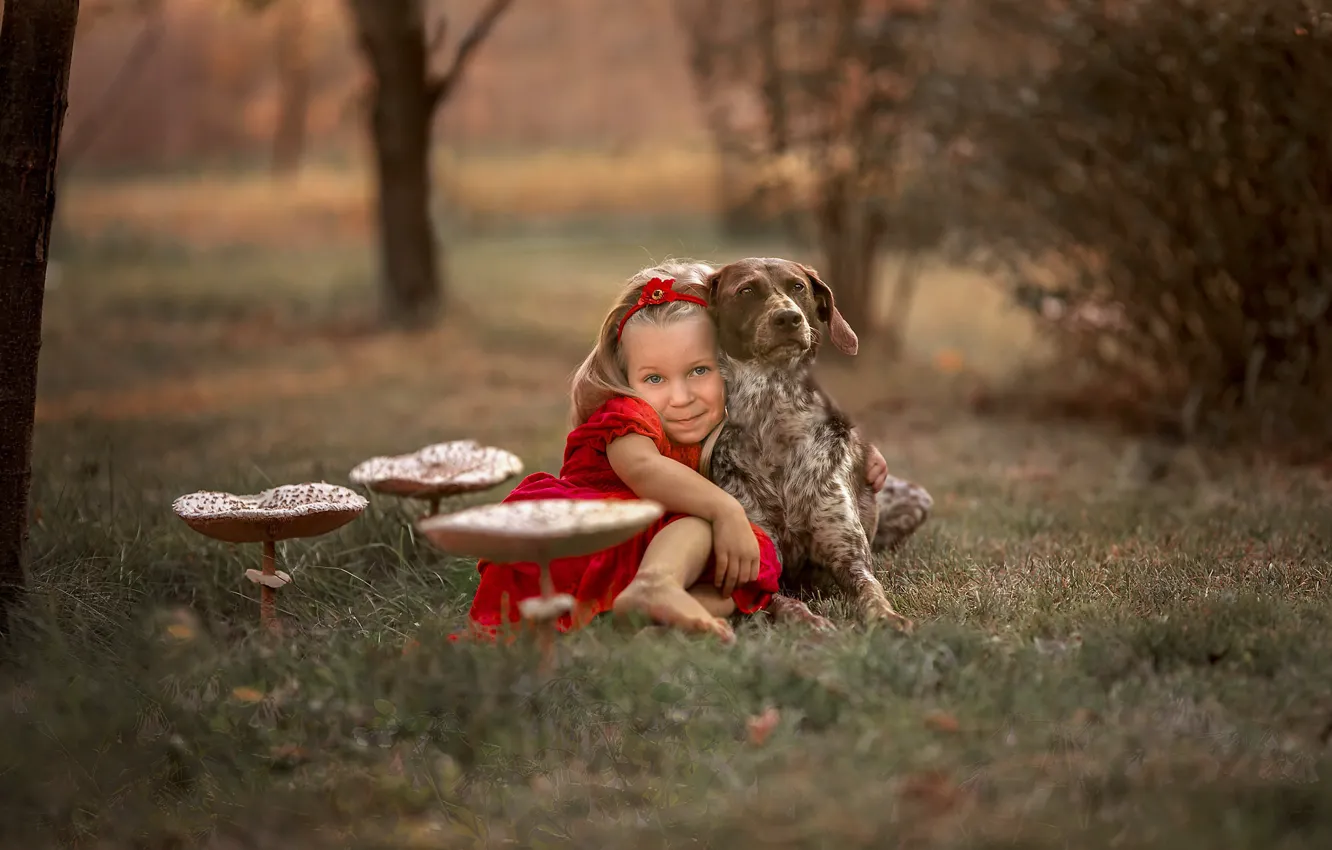 Фото обои гриб, собака, девочка
