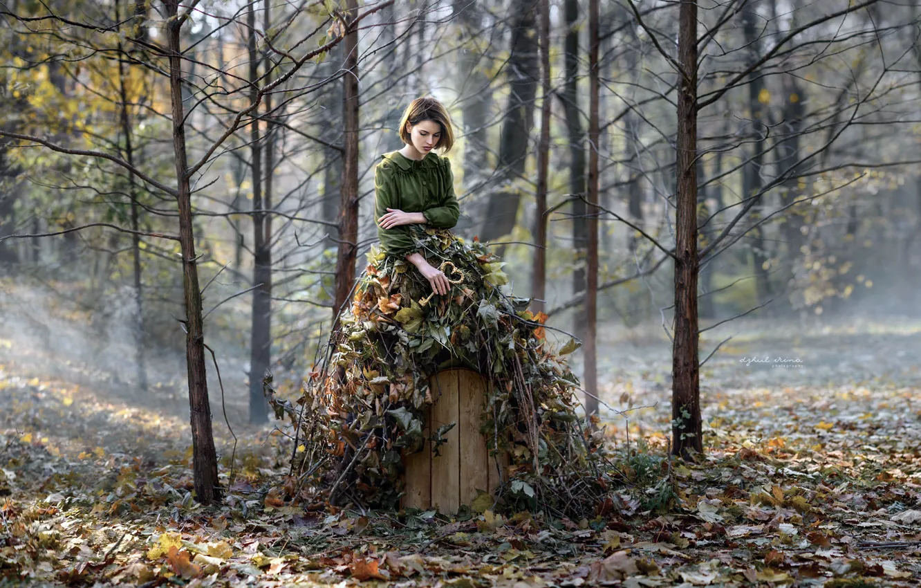 Фото обои лес, девушка, природа