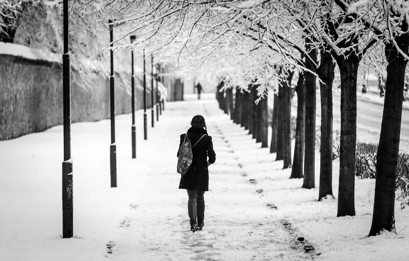Фото обои девушка, снег, город, аллея