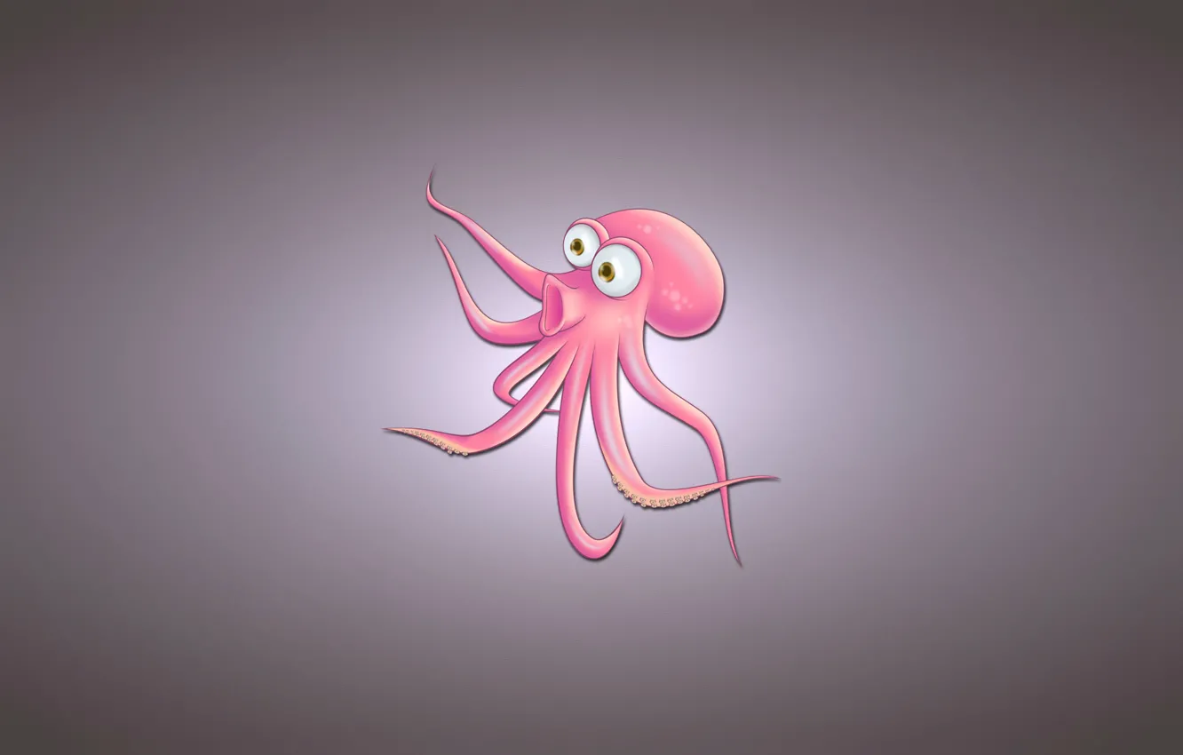 Фото обои взгляд, розовый, минимализм, осьминог, светлый фон, octopus