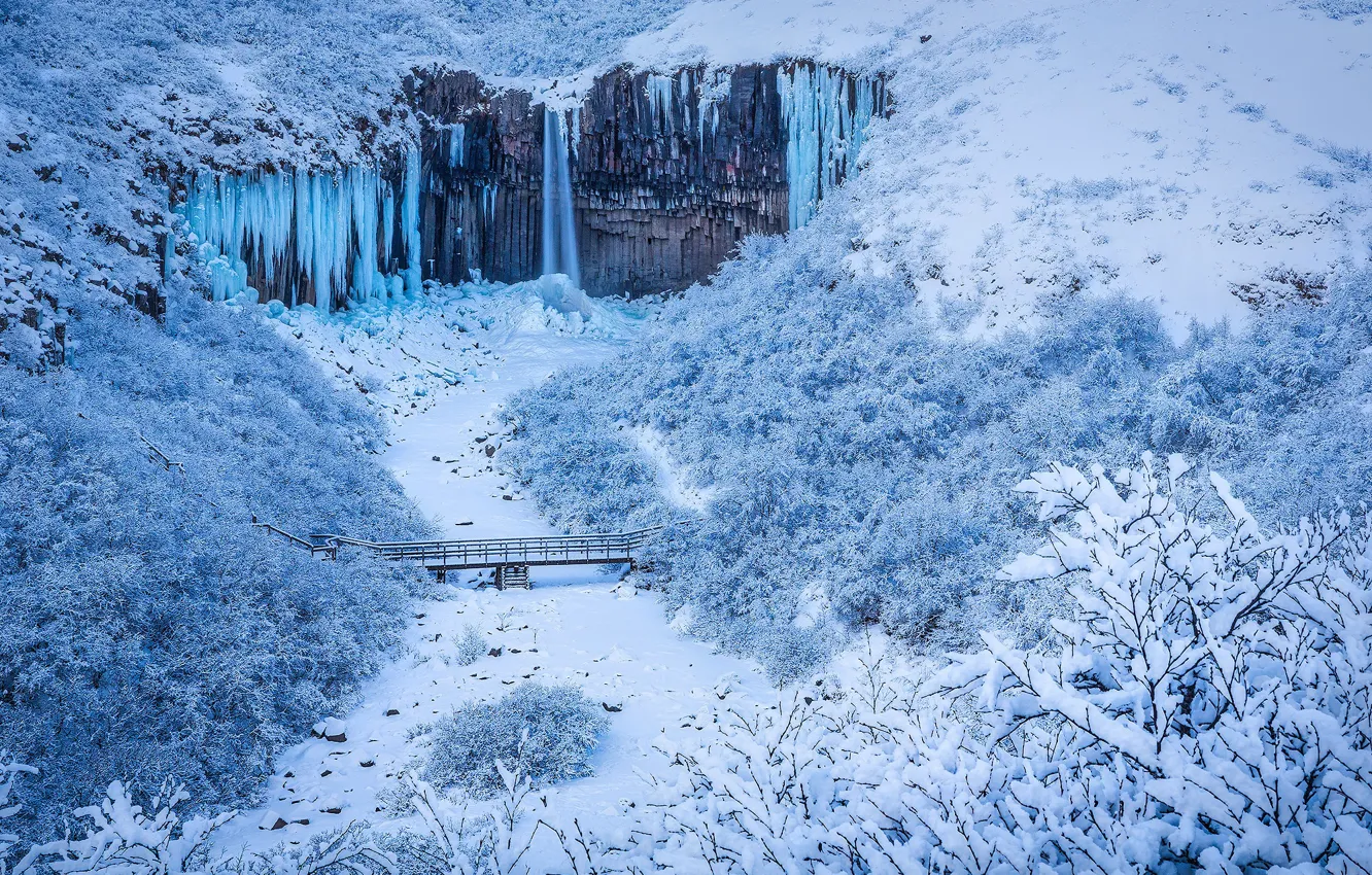 Фото обои зима, лес, снег, мост, скала, река, Исландия, Iceland