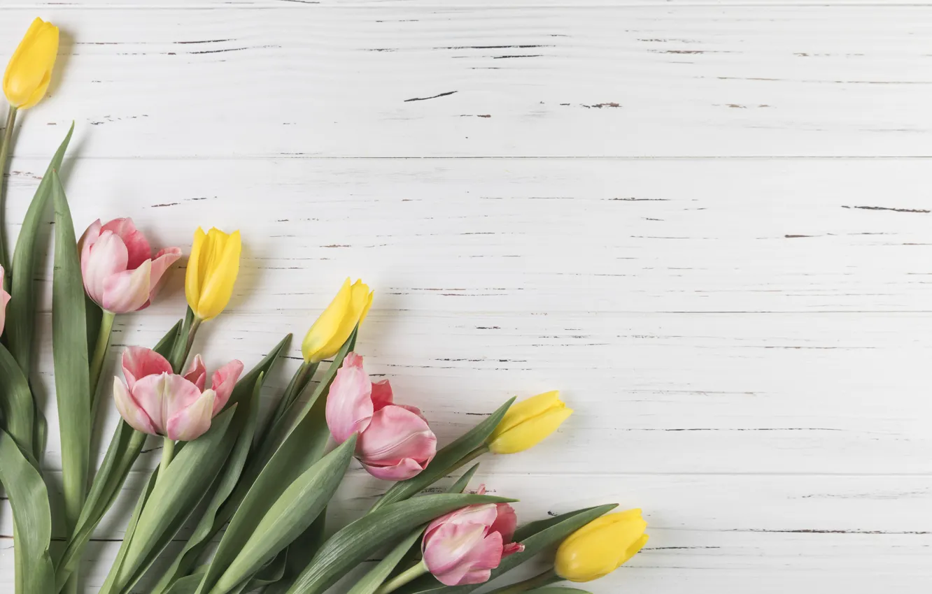 Фото обои цветы, желтые, тюльпаны, розовые, yellow, pink, flowers, beautiful