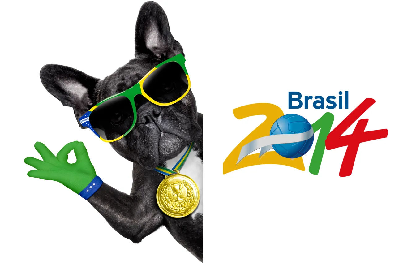 Фото обои logo, dog, football, flag, funny, cool, World Cup, Brasil