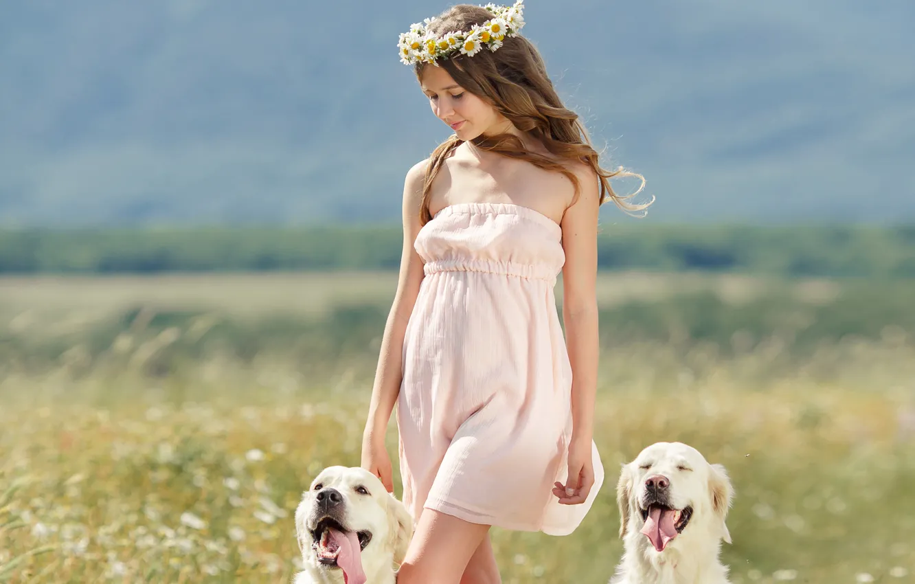 Фото обои собаки, девушка, улыбка, ромашки, шатенка, венок