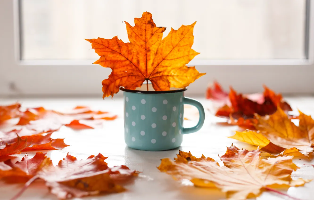 Фото обои осень, листья, фон, colorful, кружка, клен, yellow, wood