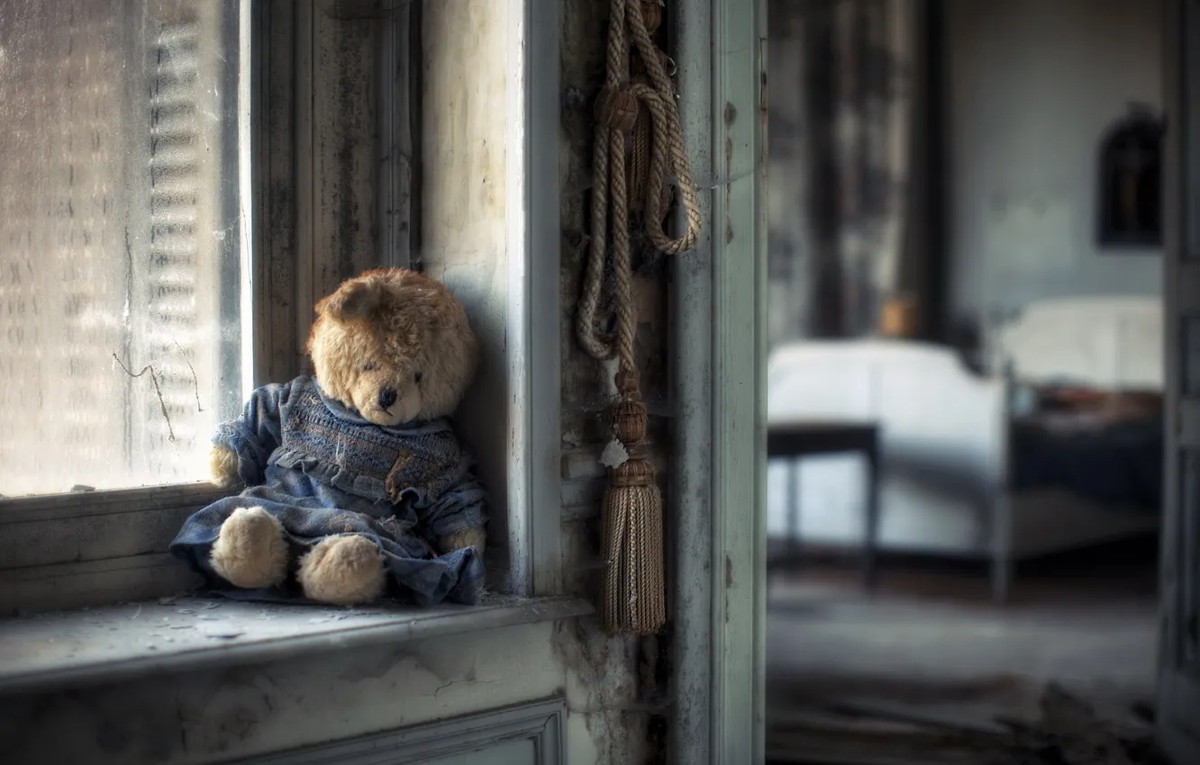 Фото обои комната, окно, мишка