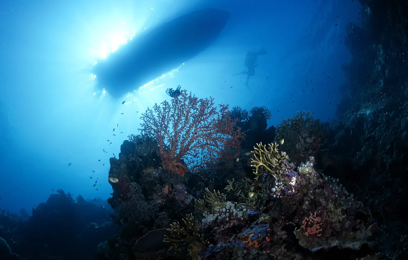 Фото обои свет, лодка, дно, кораллы, аквалангист