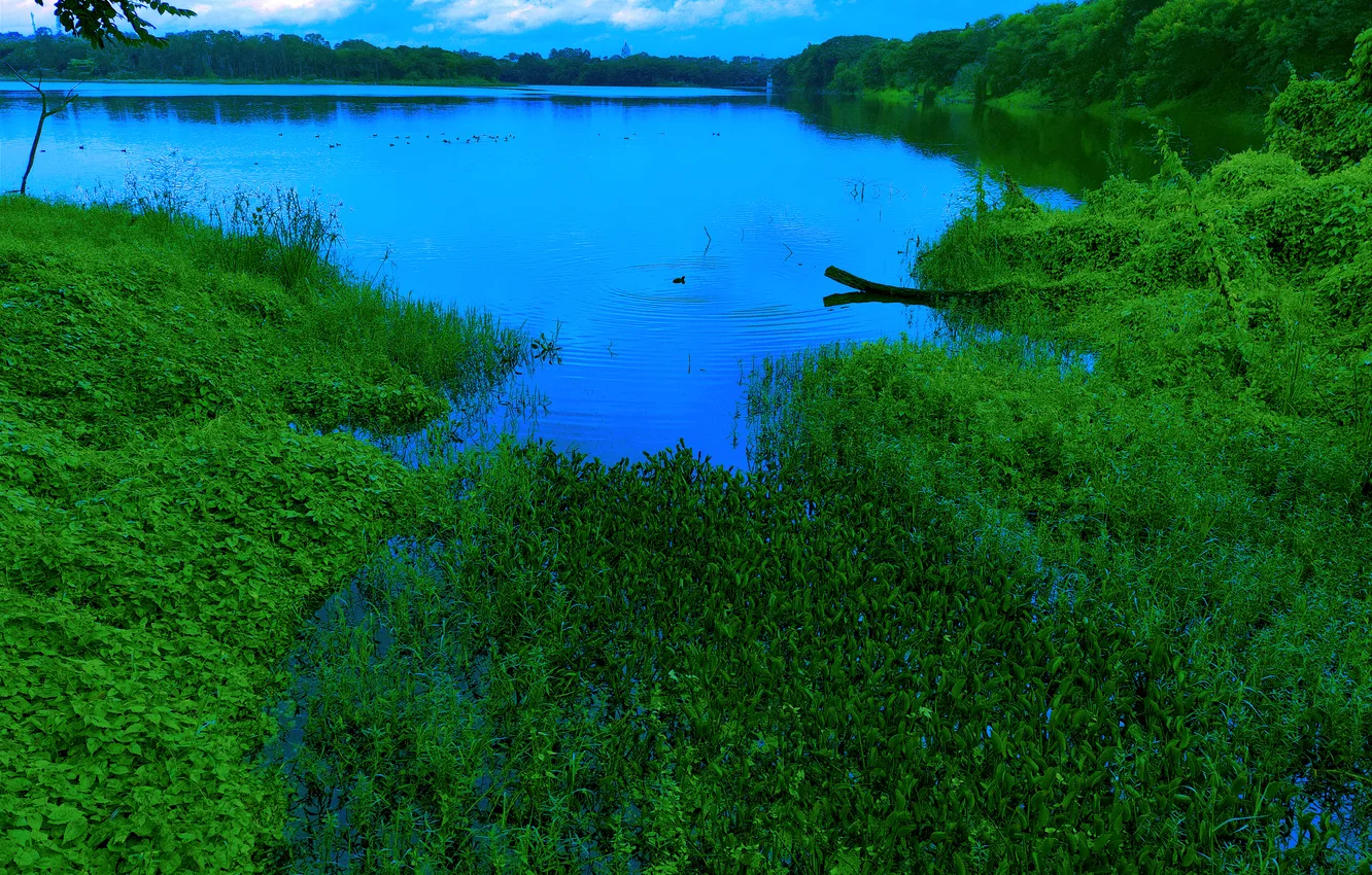 Фото обои Sky, Water, Dawn, Morning, Lake, Trees, Reflection, First Light
