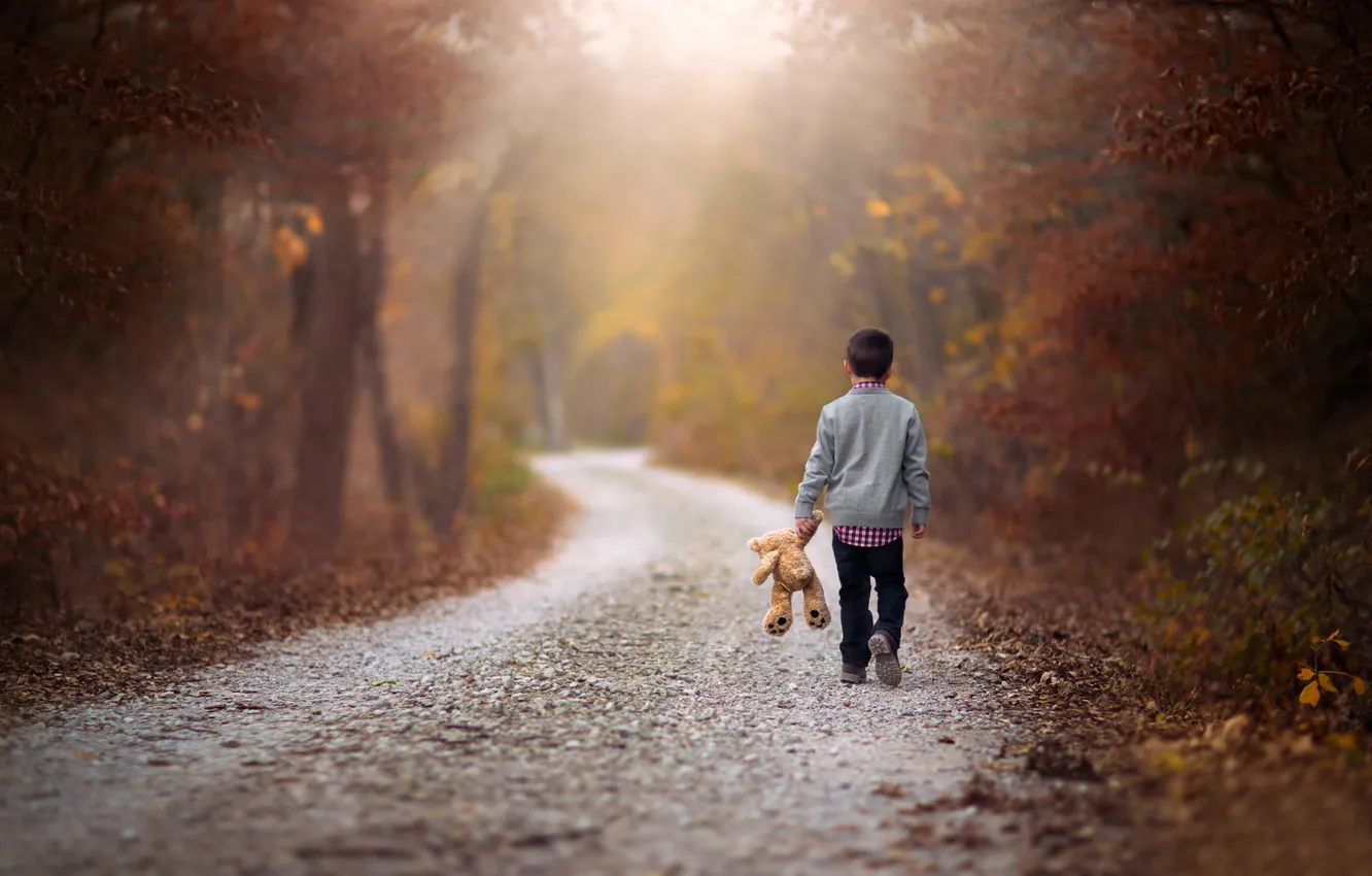 Фото обои дорога, осень, путь, игрушка, мальчик