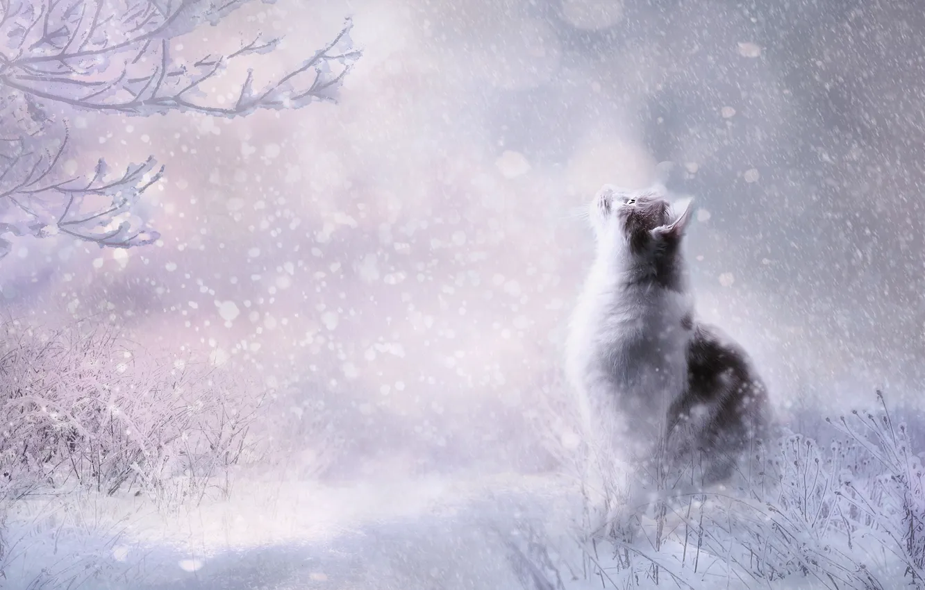 Фото обои зима, кошка, кот, взгляд, снег, поза, рендеринг, сугробы