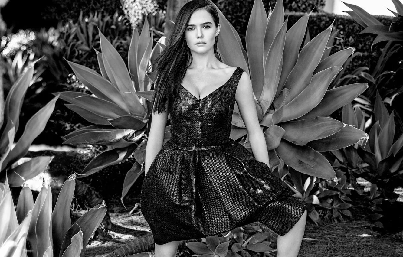 Фото обои фотосессия, Zoey Deutch, Зои Дойч, Contentmode