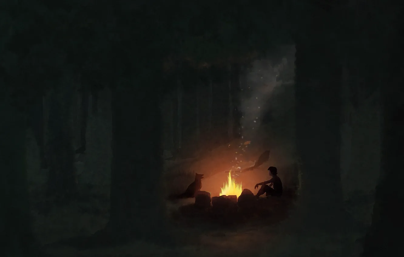 Фото обои лес, ночь, дым, собака, мальчик, арт, костёр, ночлег