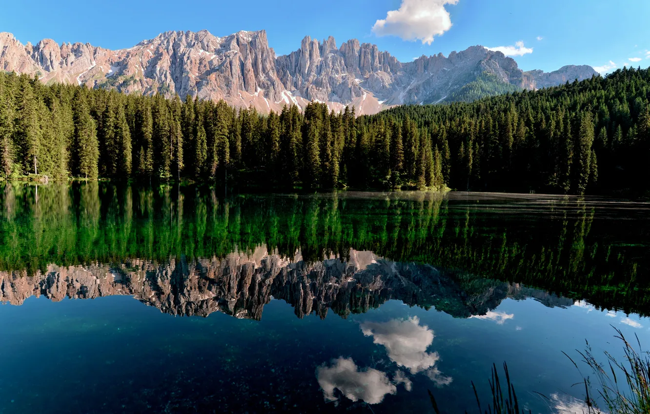 Фото обои лес, пейзаж, горы, природа, озеро, отражение