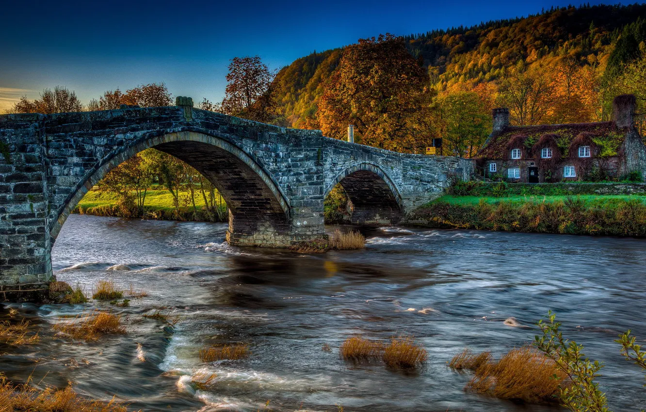 Фото обои осень, лес, мост, природа, дом, река