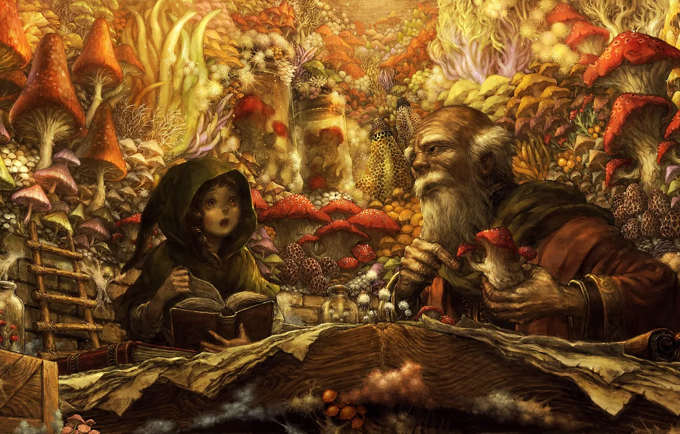 Фото обои девушка, грибы, книги, арт, лестница, старик, Dragon's Crown