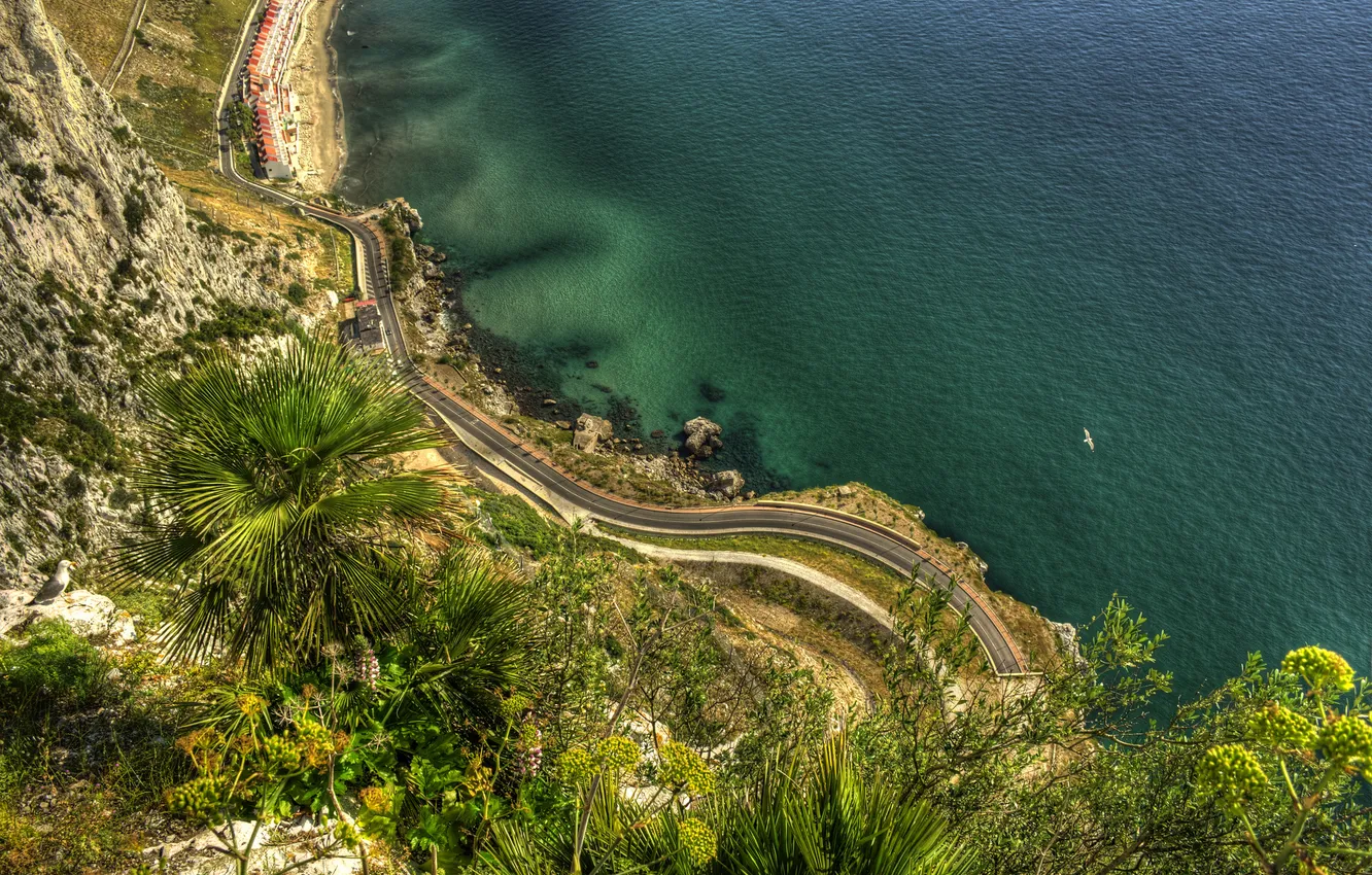 Фото обои дорога, море, природа, скала, пальмы, побережье, Gibraltar, Гибралтар