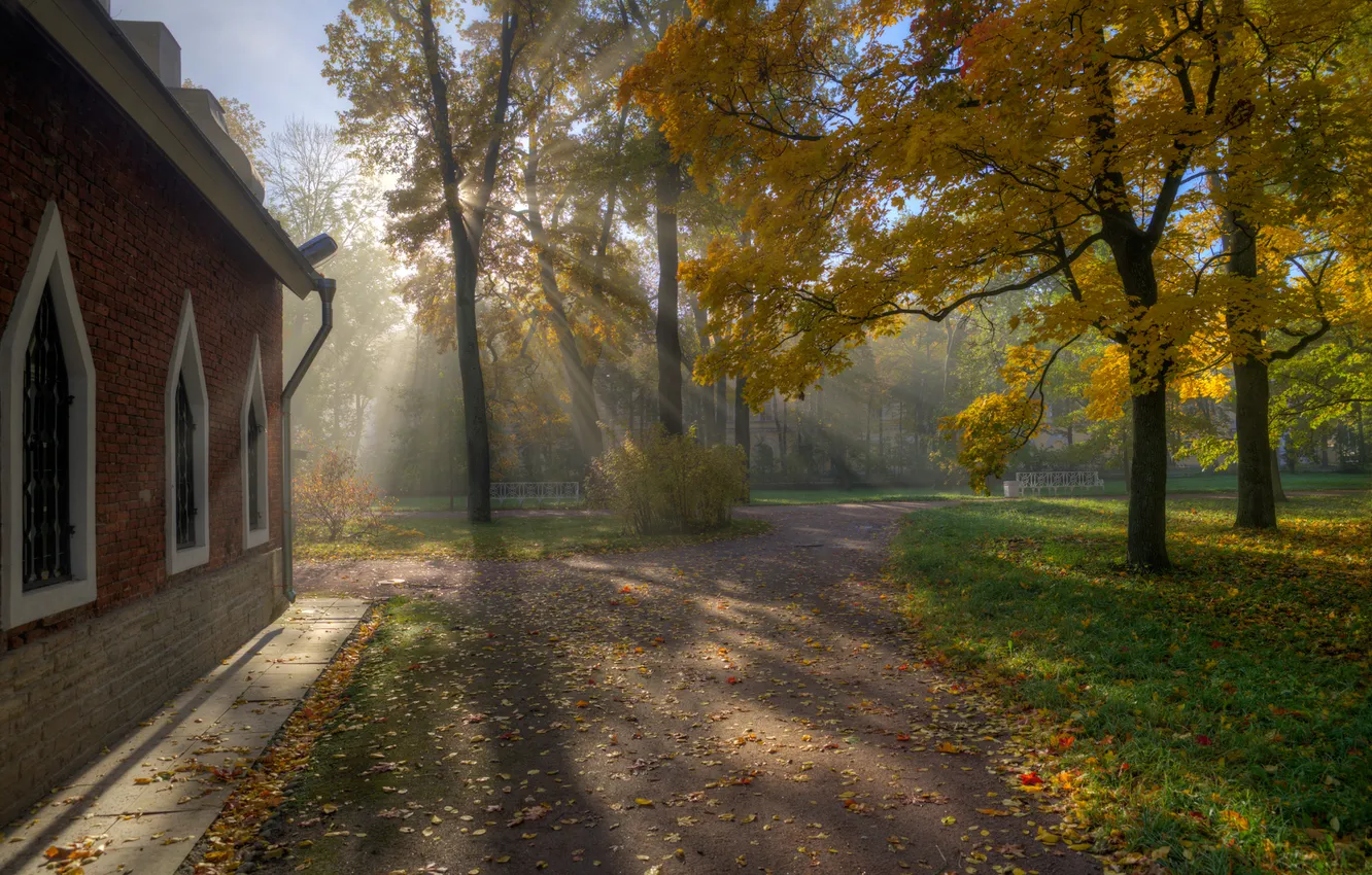 Фото обои осень, листья, солнце, лучи, природа, здания, тень, Гордеев Эдуард