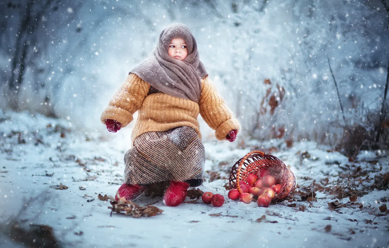 Фото обои зима, взгляд, снег, ветки, природа, поляна, яблоки, ребенок