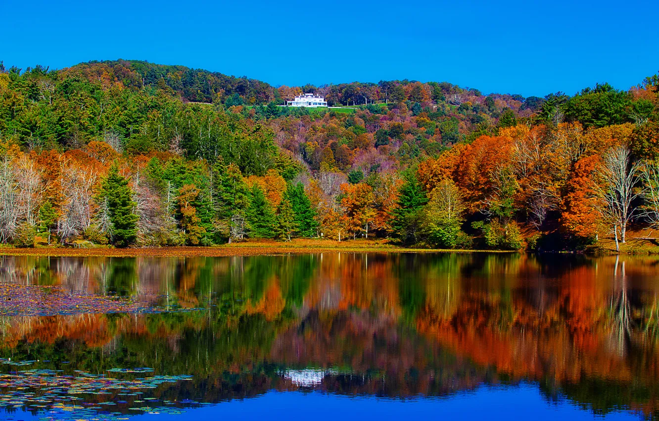 Фото обои осень, лес, деревья, пейзаж, озеро, дом, отражение, река
