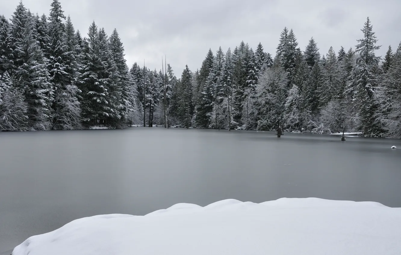 Фото обои Зима, Озеро, Лёд, Winter, Ice, Lake, Trees